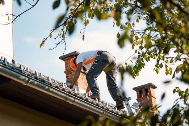 Roof Gutter Cleaning in Otisville, NY