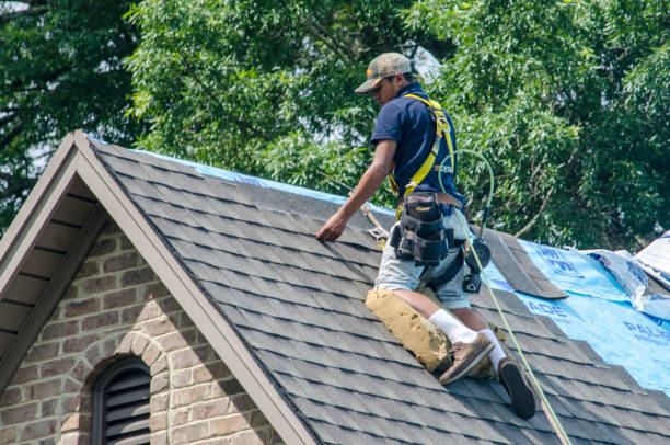 Best Gutter Installation and Roofing  in Otisville, NY